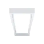 THORNeco 12X3 Surface Mount Box